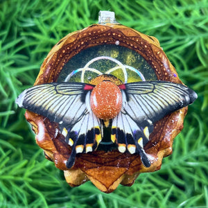 Galaxy with Sunstone & Butterfly with Seed of Life - Aura Pinecones