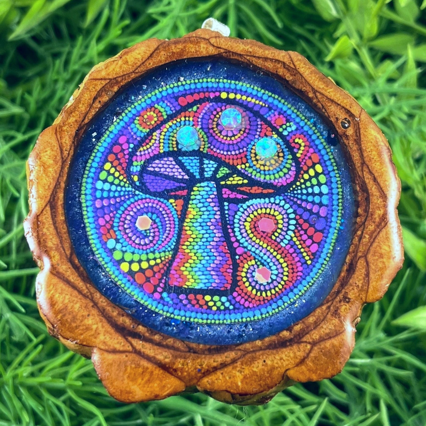 Rainbow Naturescape