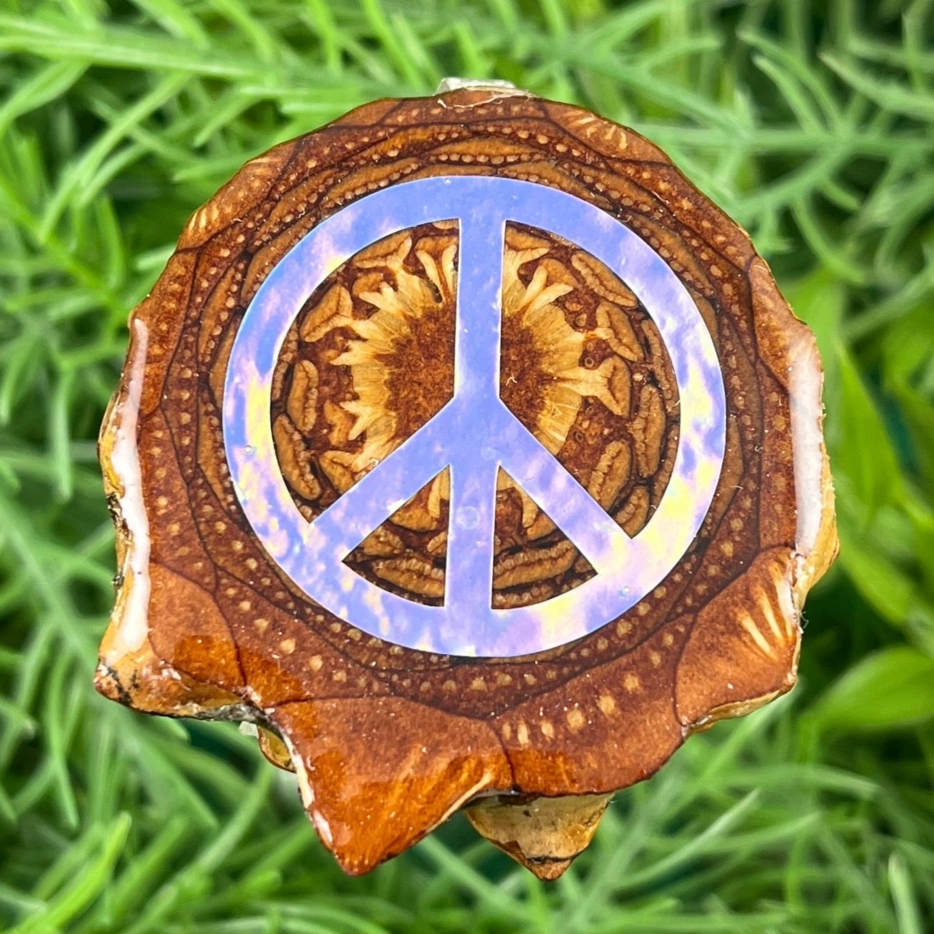 Peace Sign - Pinecone Necklace - Aura Pinecones