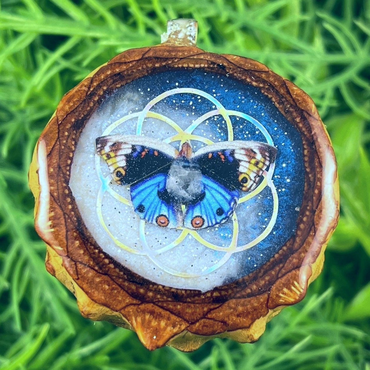 Galaxy with Labradorite & Butterfly with Seed of Life - Pinecone Necklace - Aura Pinecones