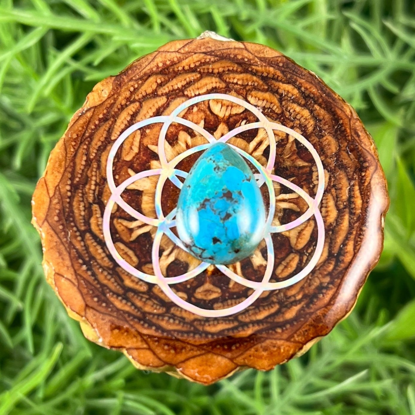 Turquoise with Seed of Life - Pinecone Necklace - Aura Pinecones