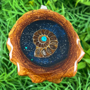 Night Sky with Ammonite & Opal - Pinecone Necklace - Aura Pinecones