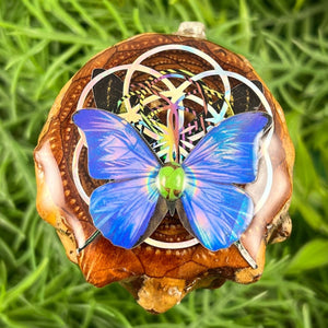 Green Copper Turquoise with Butterfly & Seed of Life - Pinecone Necklace - Aura Pinecones