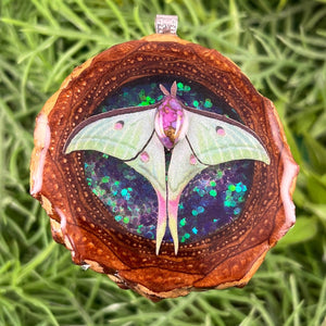 Supernova with Purple Mohave Turquoise & Moth - Pinecone Necklace - Aura Pinecones
