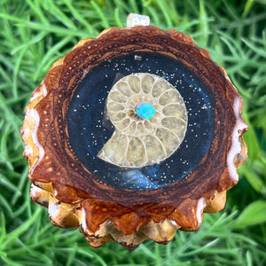 Night Sky with Ammonite - Pinecone Necklace - Aura Pinecones