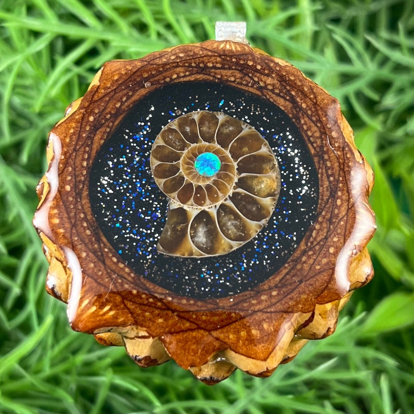 Night Sky with Ammonite - Pinecone Necklace - Aura Pinecones