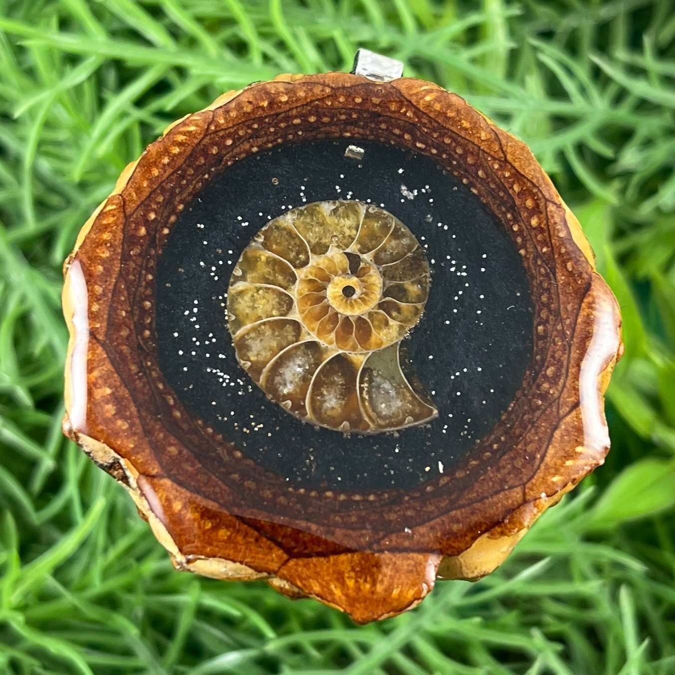 Night Sky with Ammonite - Pinecone Necklace - Aura Pinecones