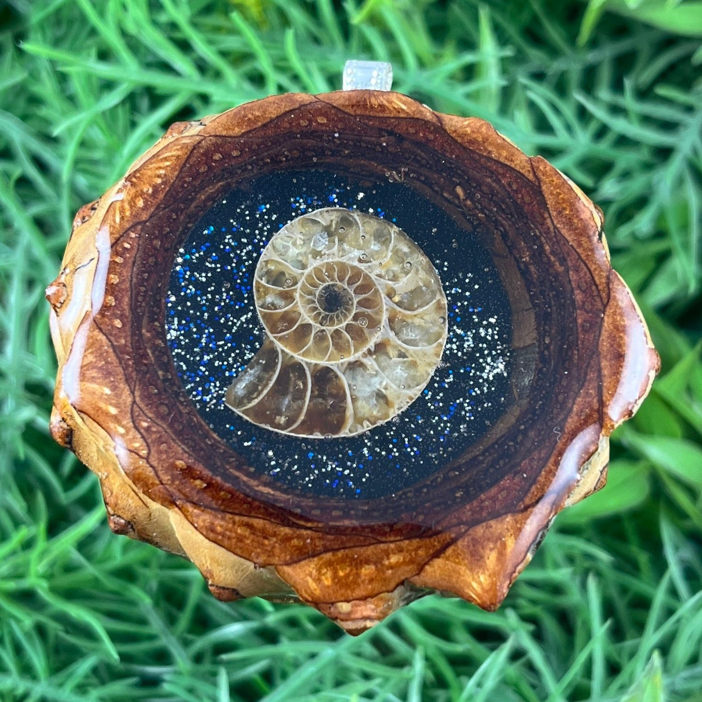 Night Sky with Ammonite - Pinecone Necklace - Aura Pinecones