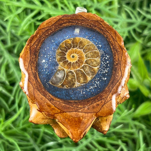 Galaxy with Ammonite - Pinecone Necklace - Aura Pinecones