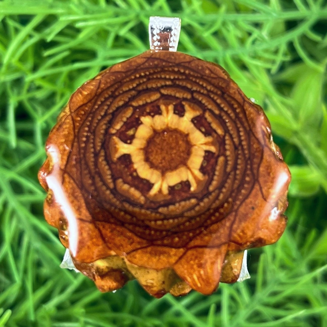 Natural - Pinecone Necklace - Aura Pinecones