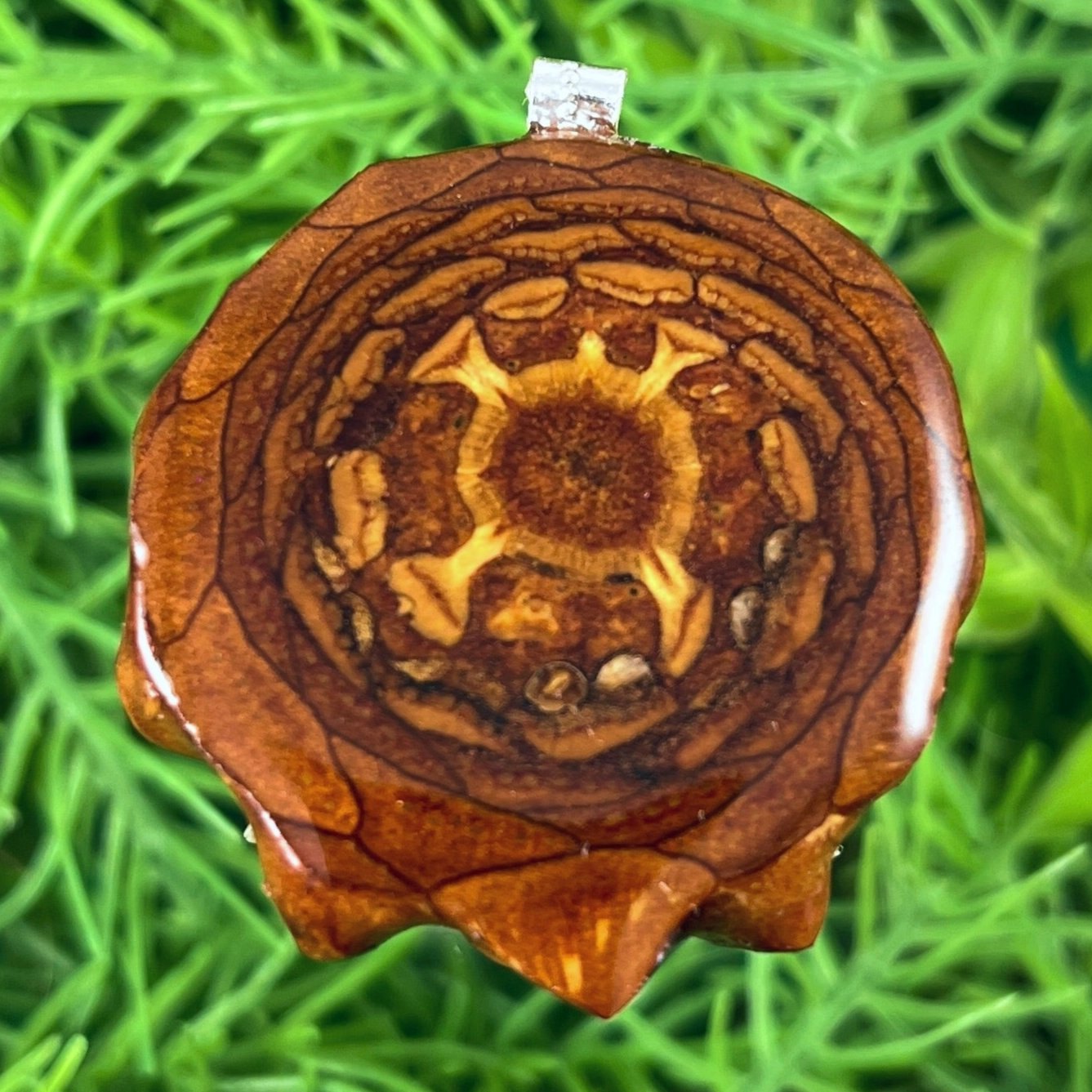 Natural - Pinecone Necklace - Aura Pinecones