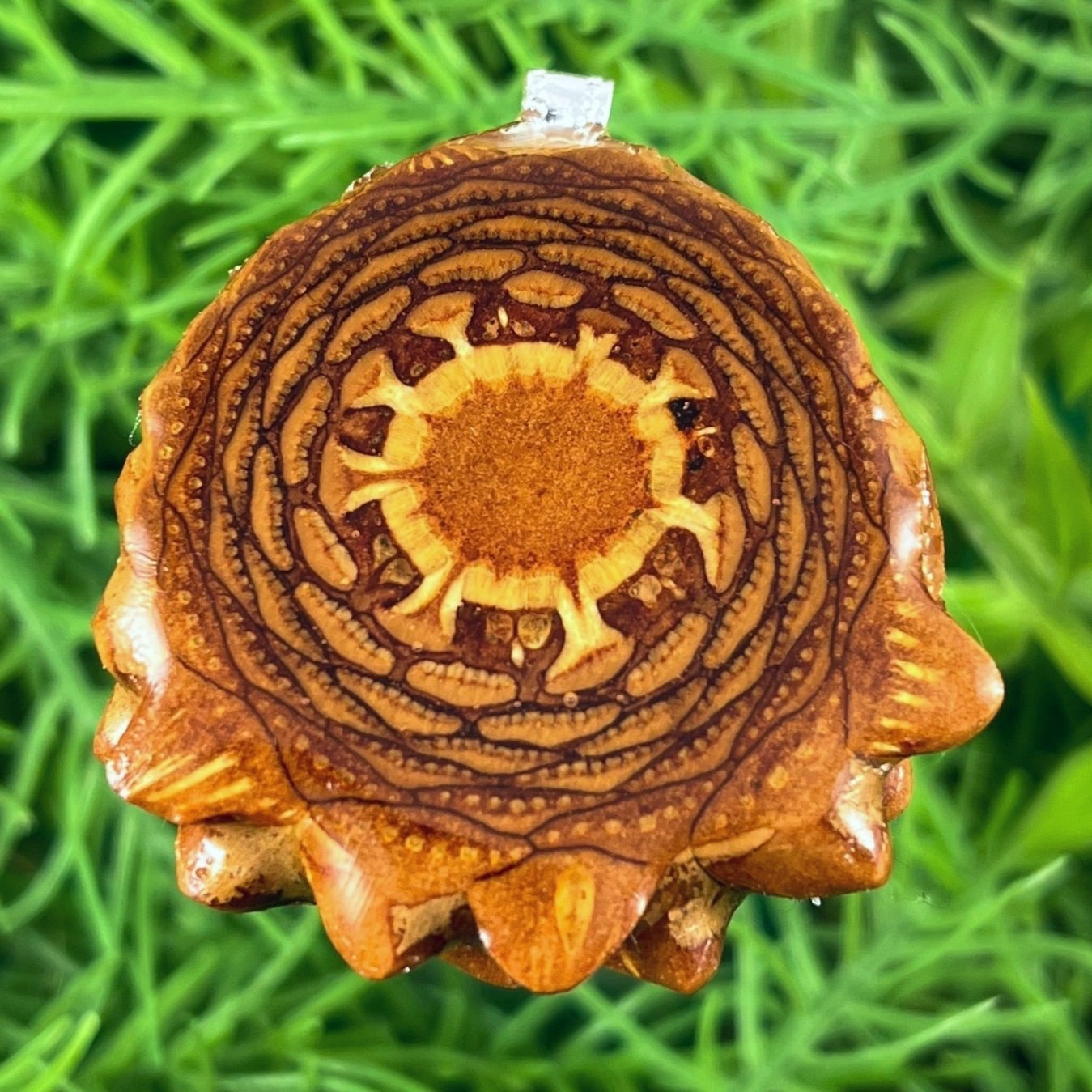 Natural - Pinecone Necklace - Aura Pinecones