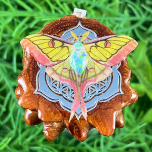 Opal with Butterfly & Mandala - Pinecone Necklace - Aura Pinecones