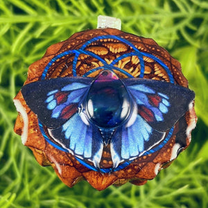 Multi Ammolite with Butterfly & Seed of Life - Pinecone Necklace - Aura Pinecones