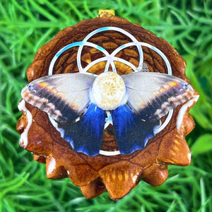 Petoskey with Butterfly & Seed of Life - Pinecone Necklace - Aura Pinecones