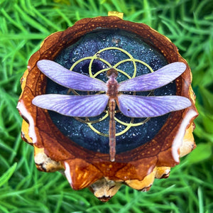 Night Sky with Dragonfly & Seed of Life - Pinecone Necklace - Aura Pinecones