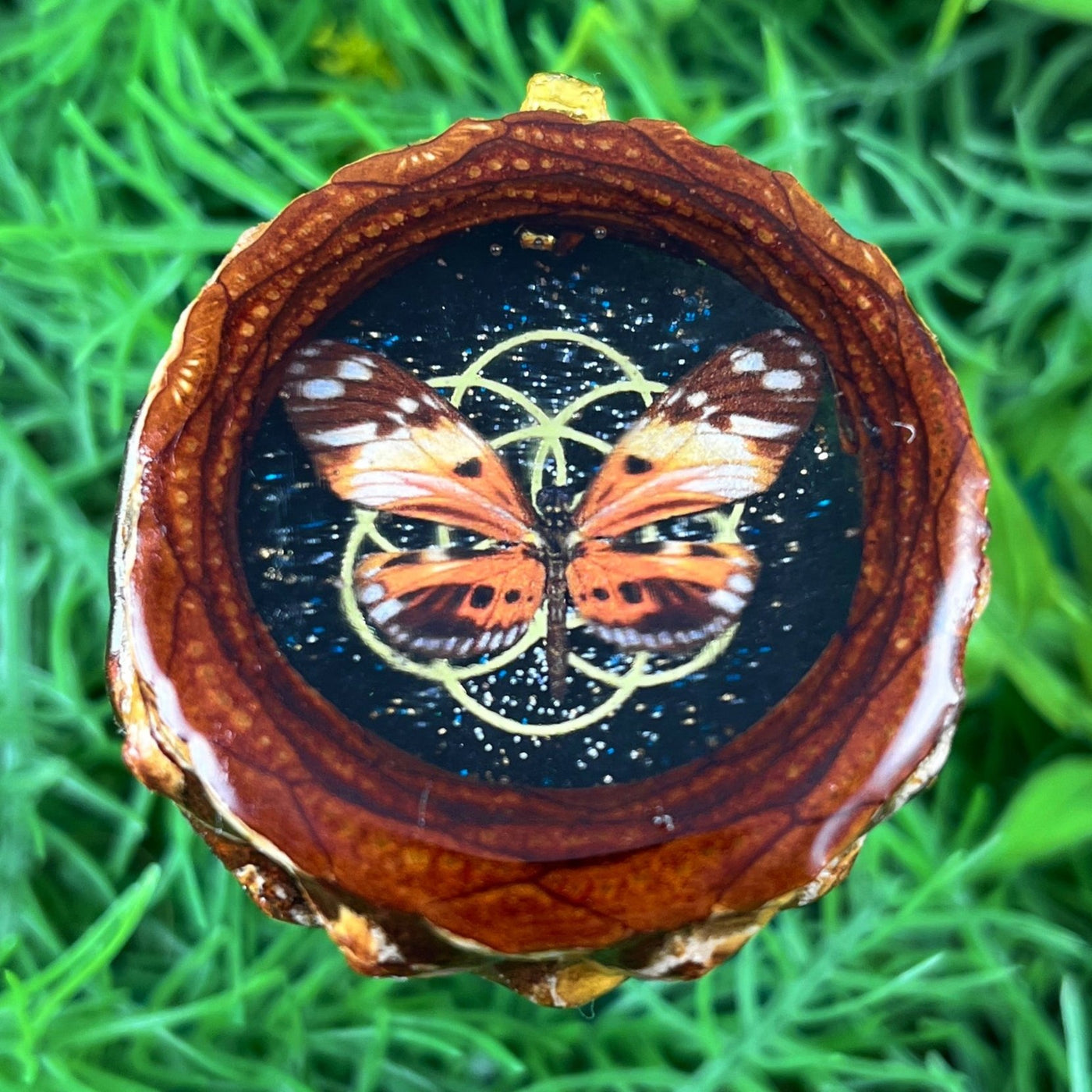 Night Sky with Butterfly & Seed of Life - Pinecone Necklace - Aura Pinecones