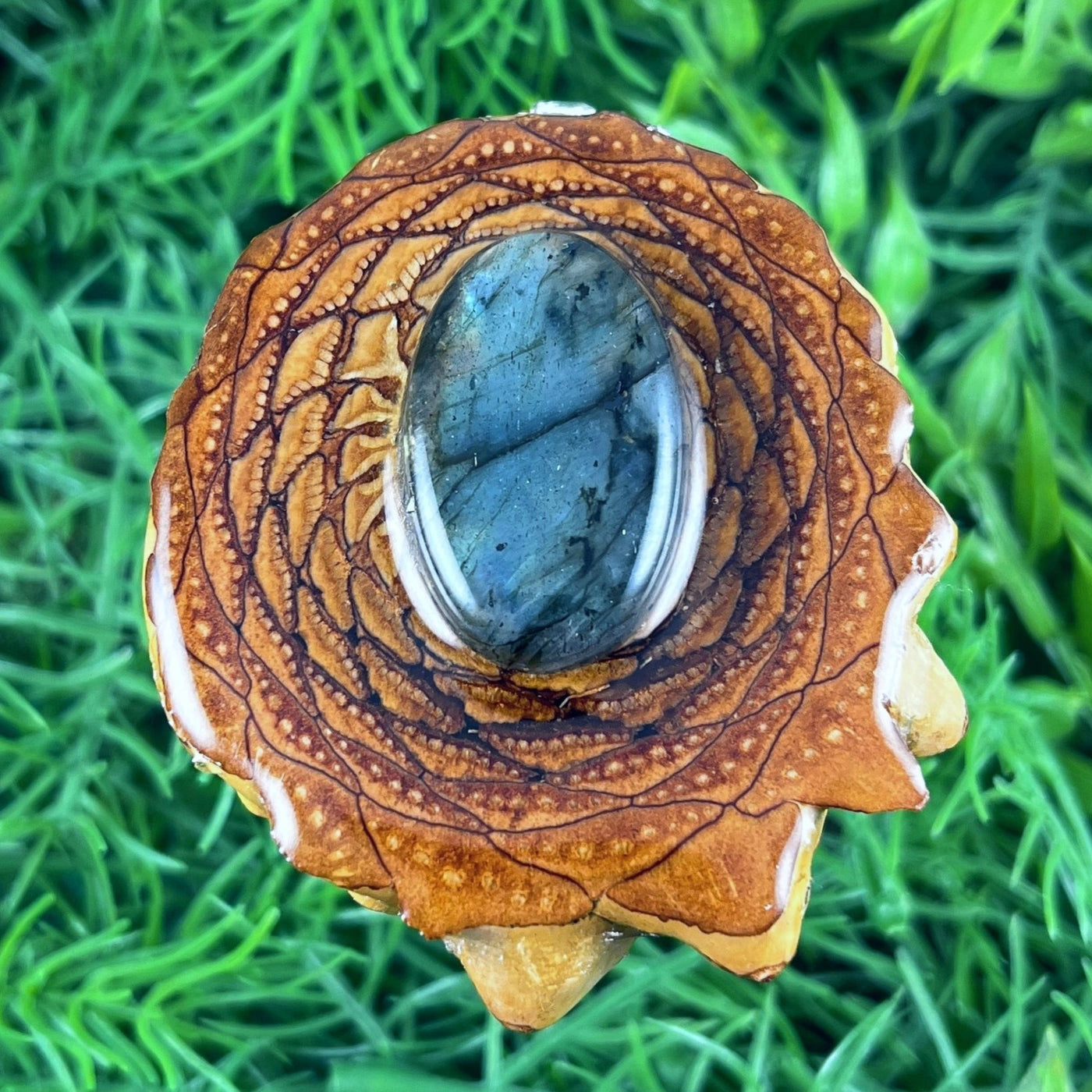 Labradorite