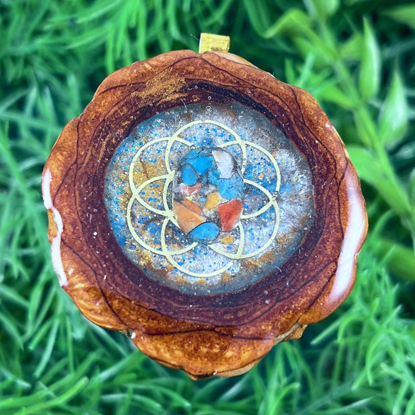 Galaxy with Spiny Oyster & Seed of Life