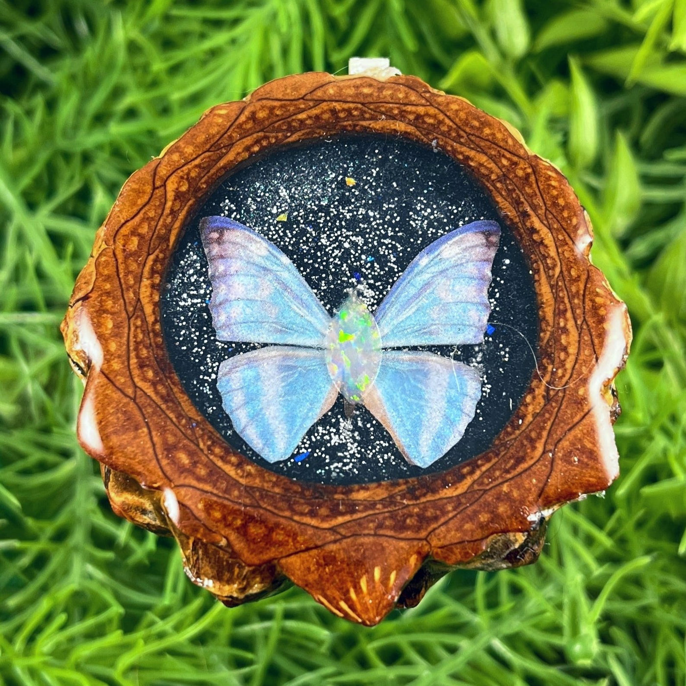 Galaxy with Opal & Butterfly