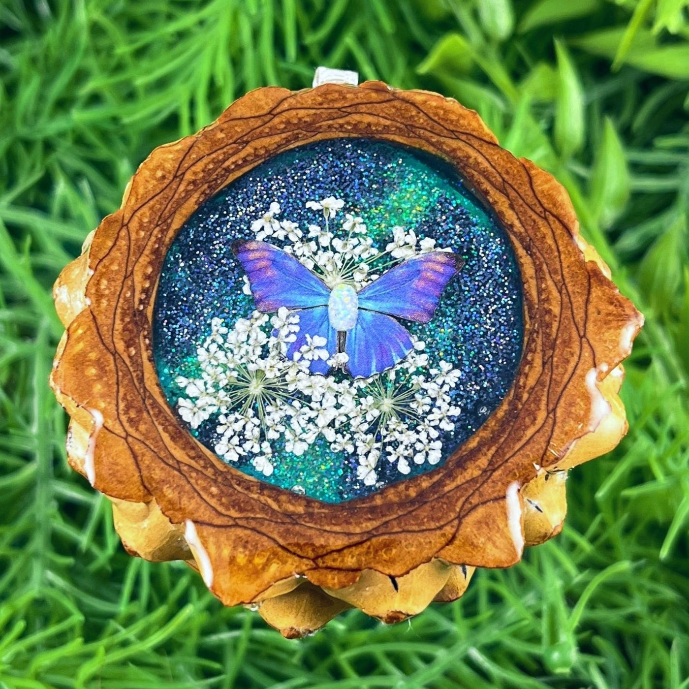 Galaxy with Opal & Butterfly