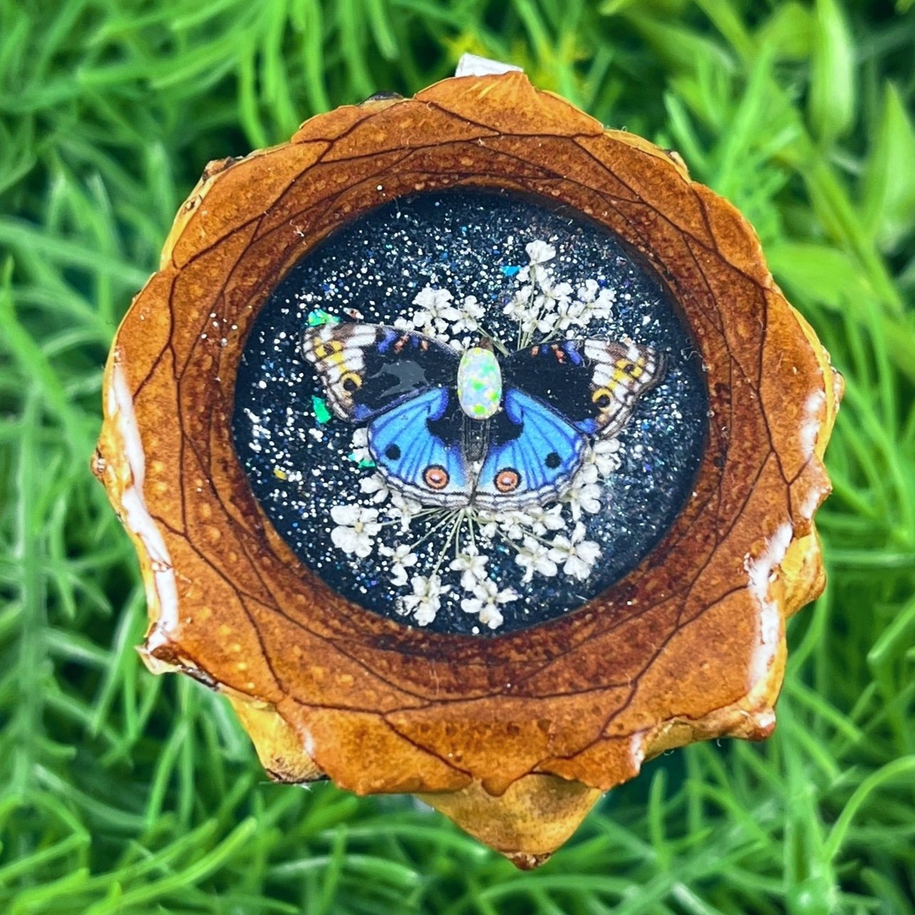 Galaxy with Opal & Butterfly