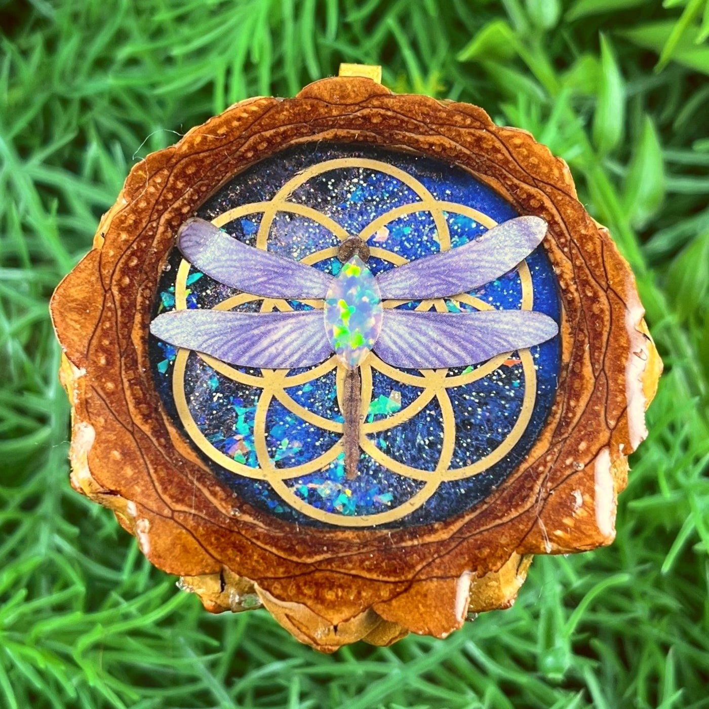 Night Sky & Opal with Dragonfly & Seed of Life