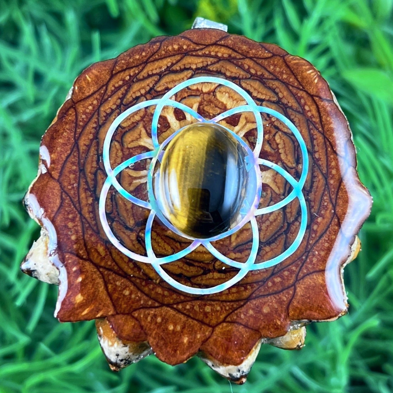 Tiger's Eye with Seed of Life