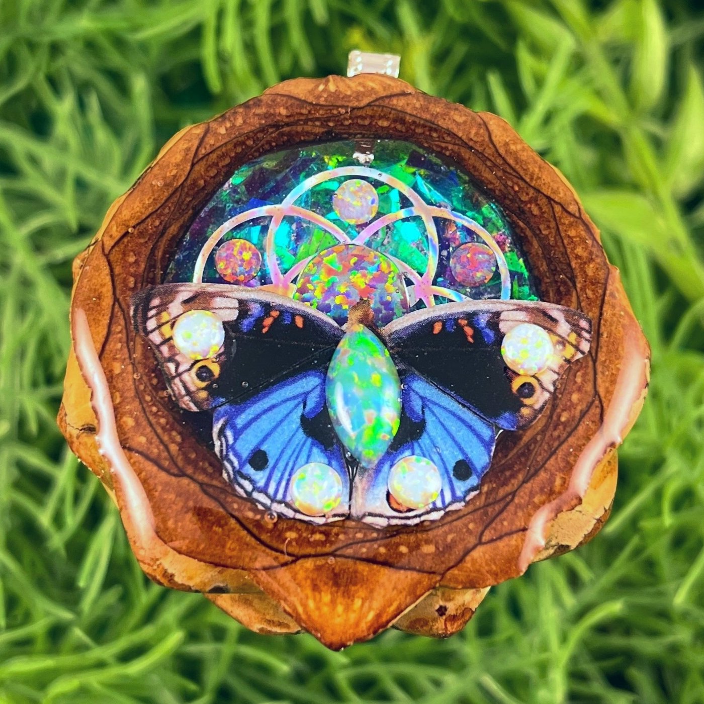 Supernova & Opal with Butterfly & Seed of Life