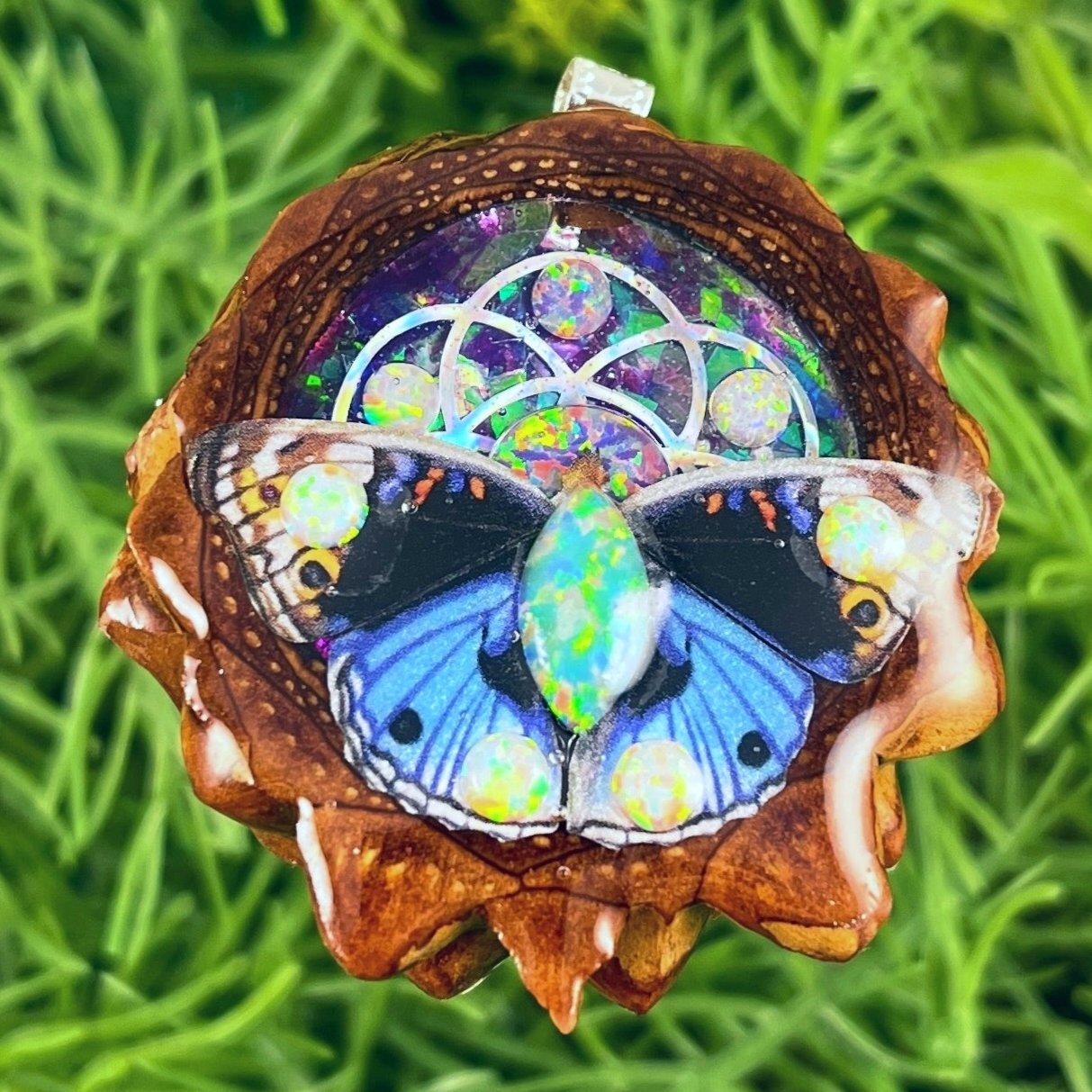 Supernova & Opal with Butterfly & Seed of Life