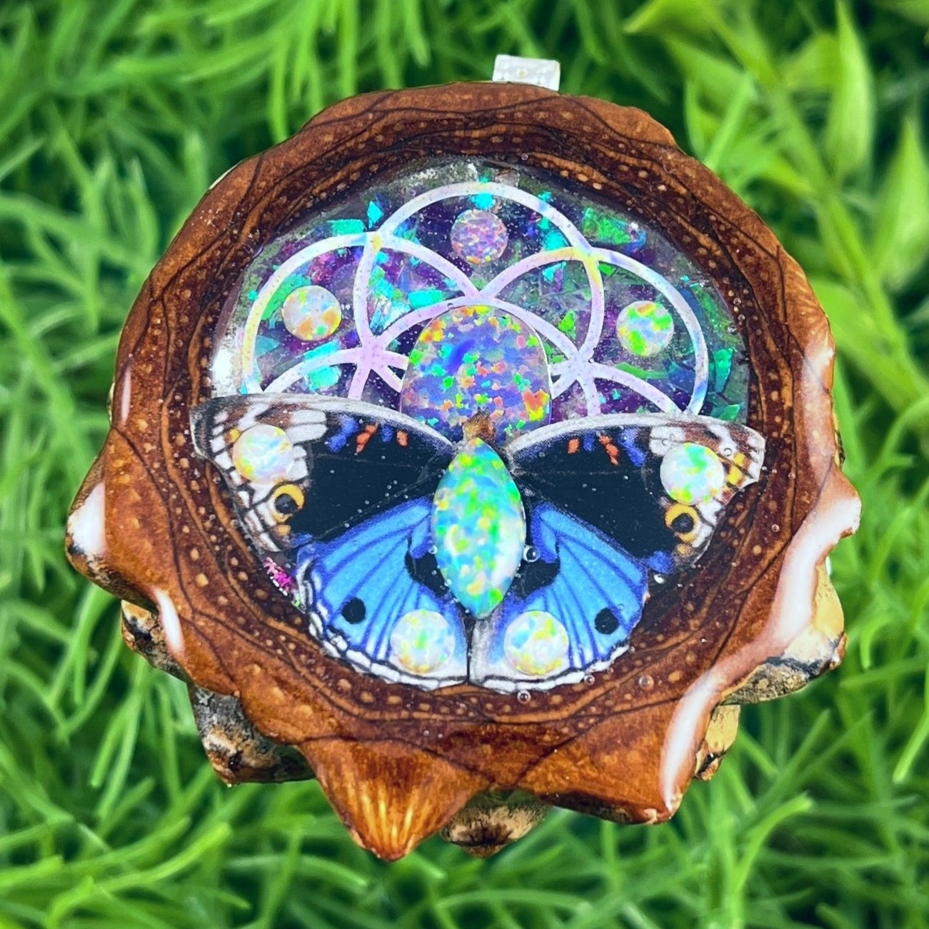 Supernova & Opal with Butterfly & Seed of Life