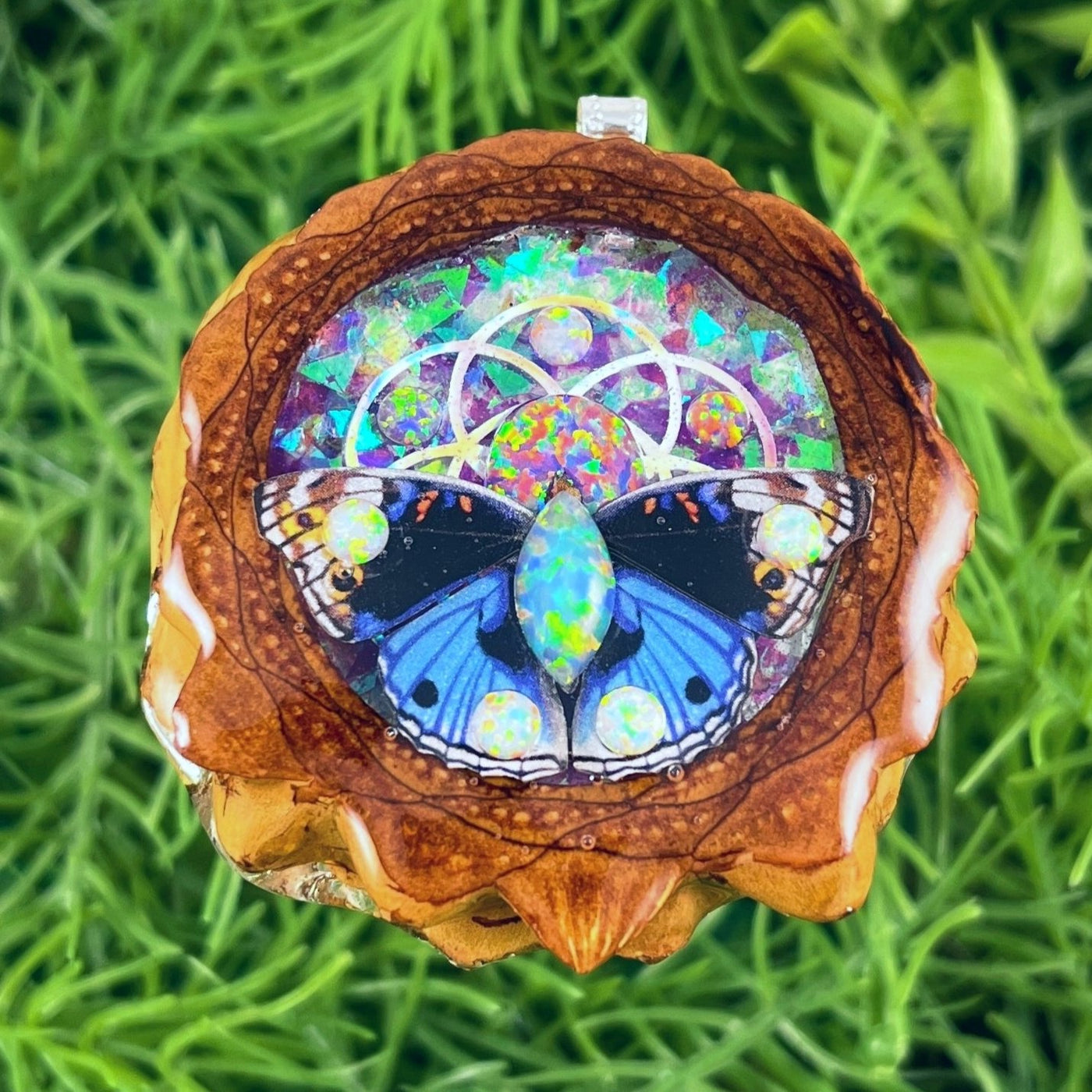 Supernova & Opal with Butterfly & Seed of Life