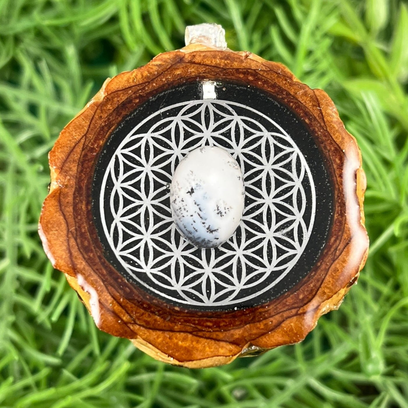 Galaxy with Dendrite & Flower of Life