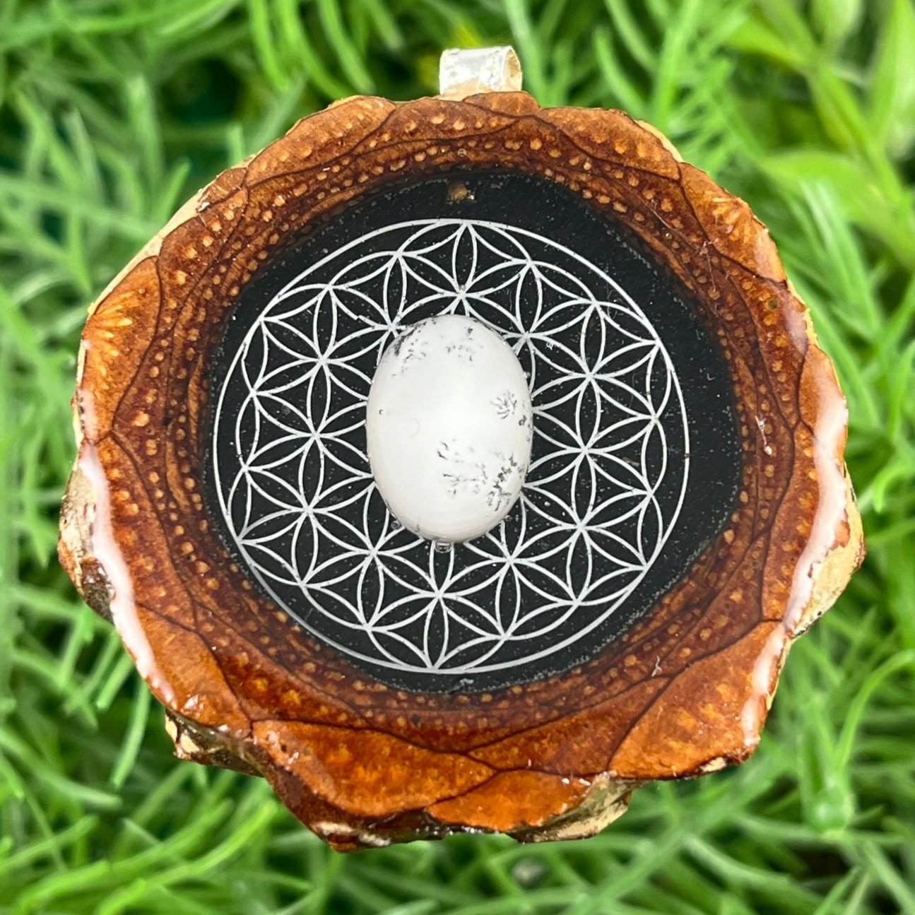 Galaxy with Dendrite & Flower of Life