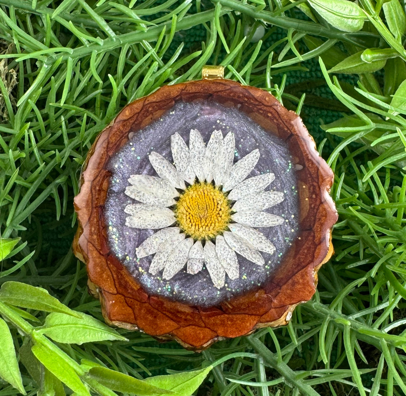 Galaxy with Daisy