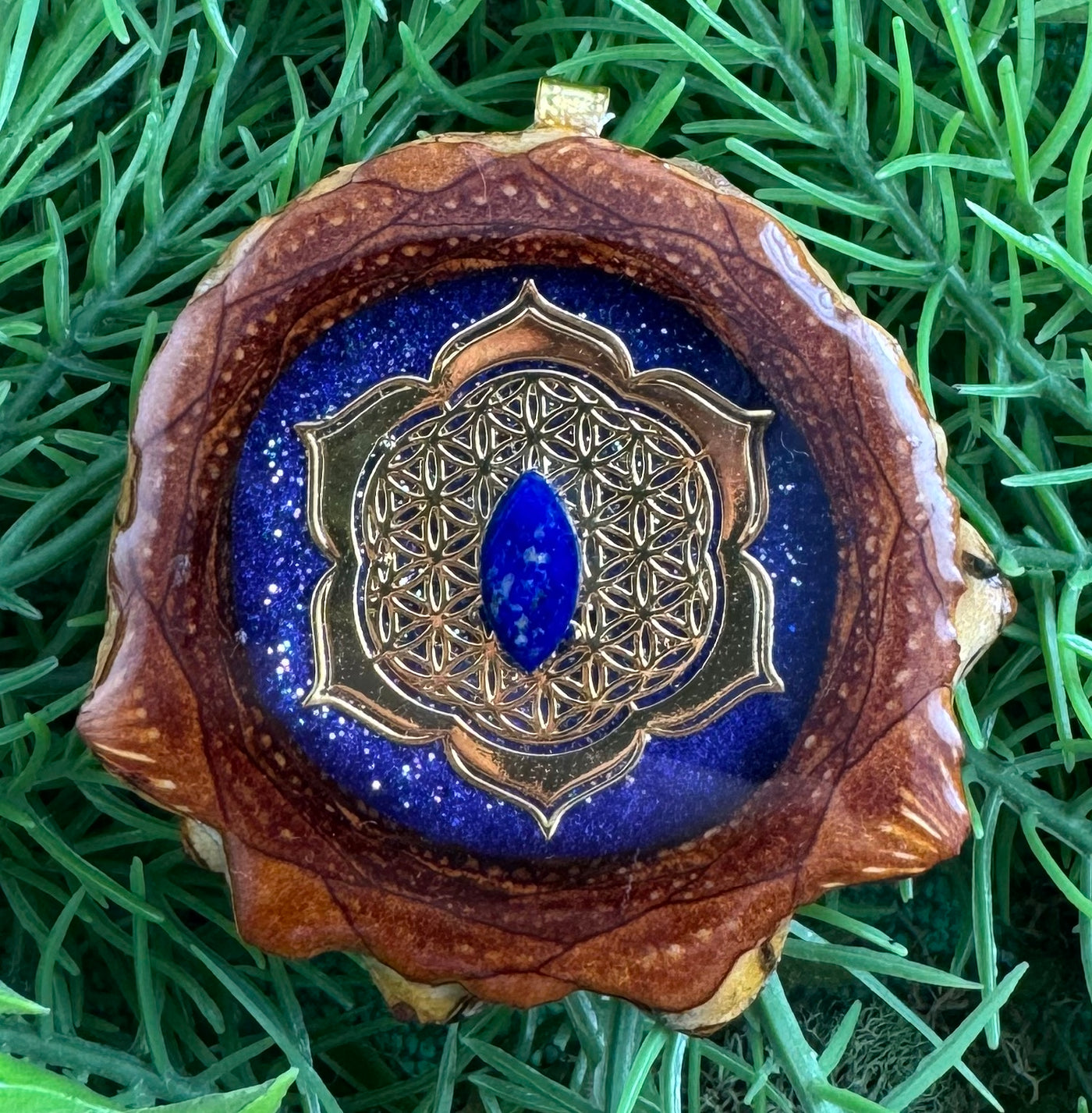 Supernova Eye