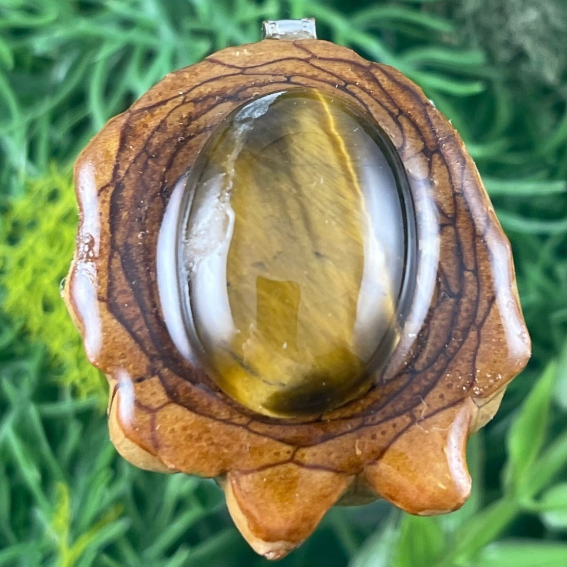 Tiger's Eye