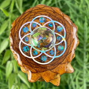 Spiny Oyster Turquoise with Crushed Opal & Seed of Life - Aura Pinecones