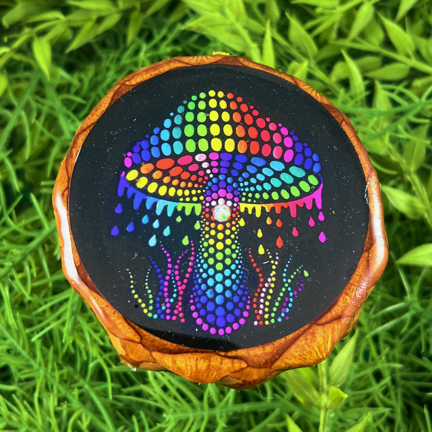 Rainbow Naturescape - Aura Pinecones