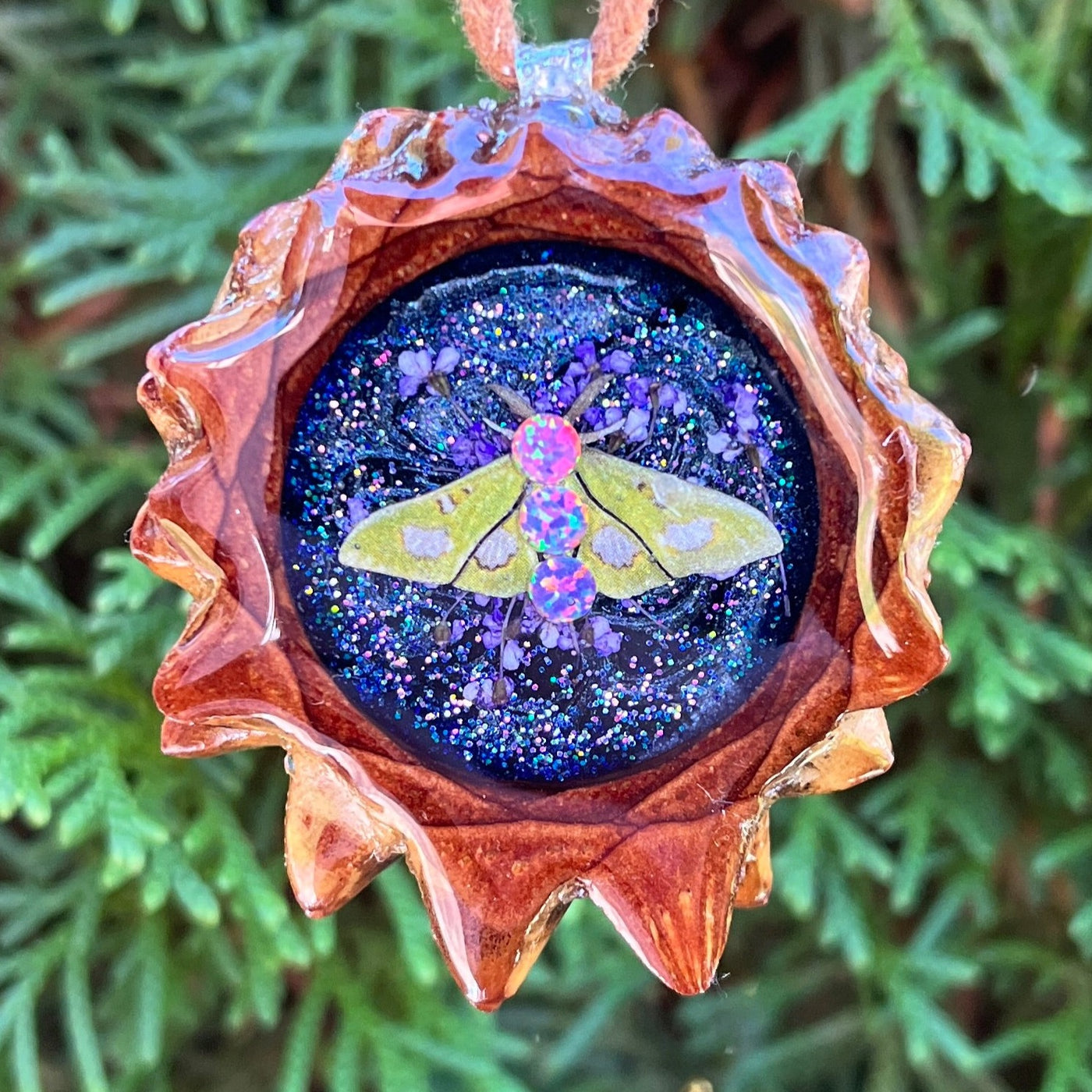 Supernova with Moth and Opal
