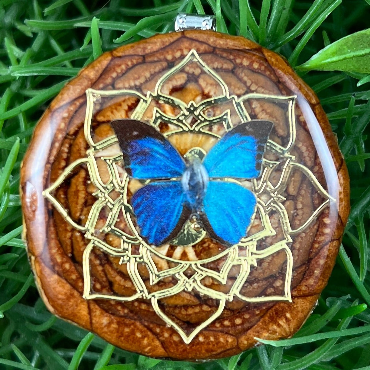 Butterfly and Labradorite with Mandala