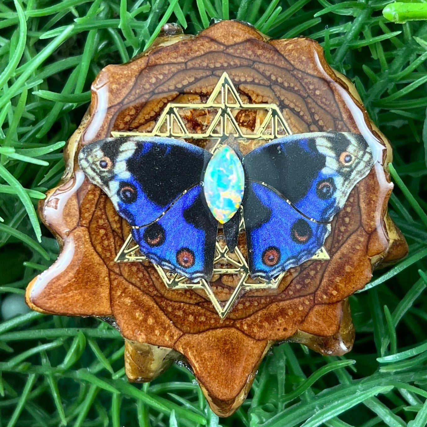 Butterfly and Opal with Mandala