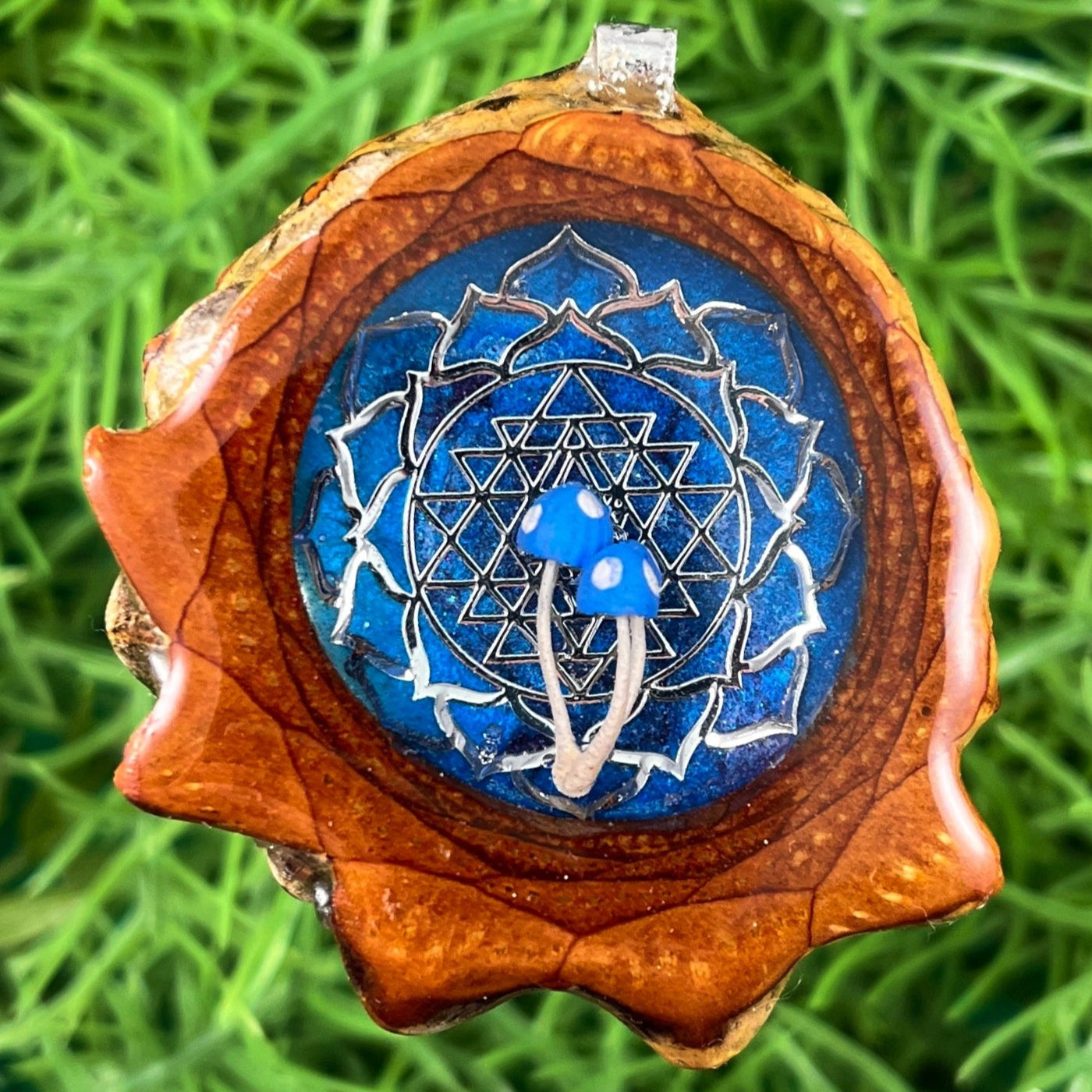 Naturescape with Mandala