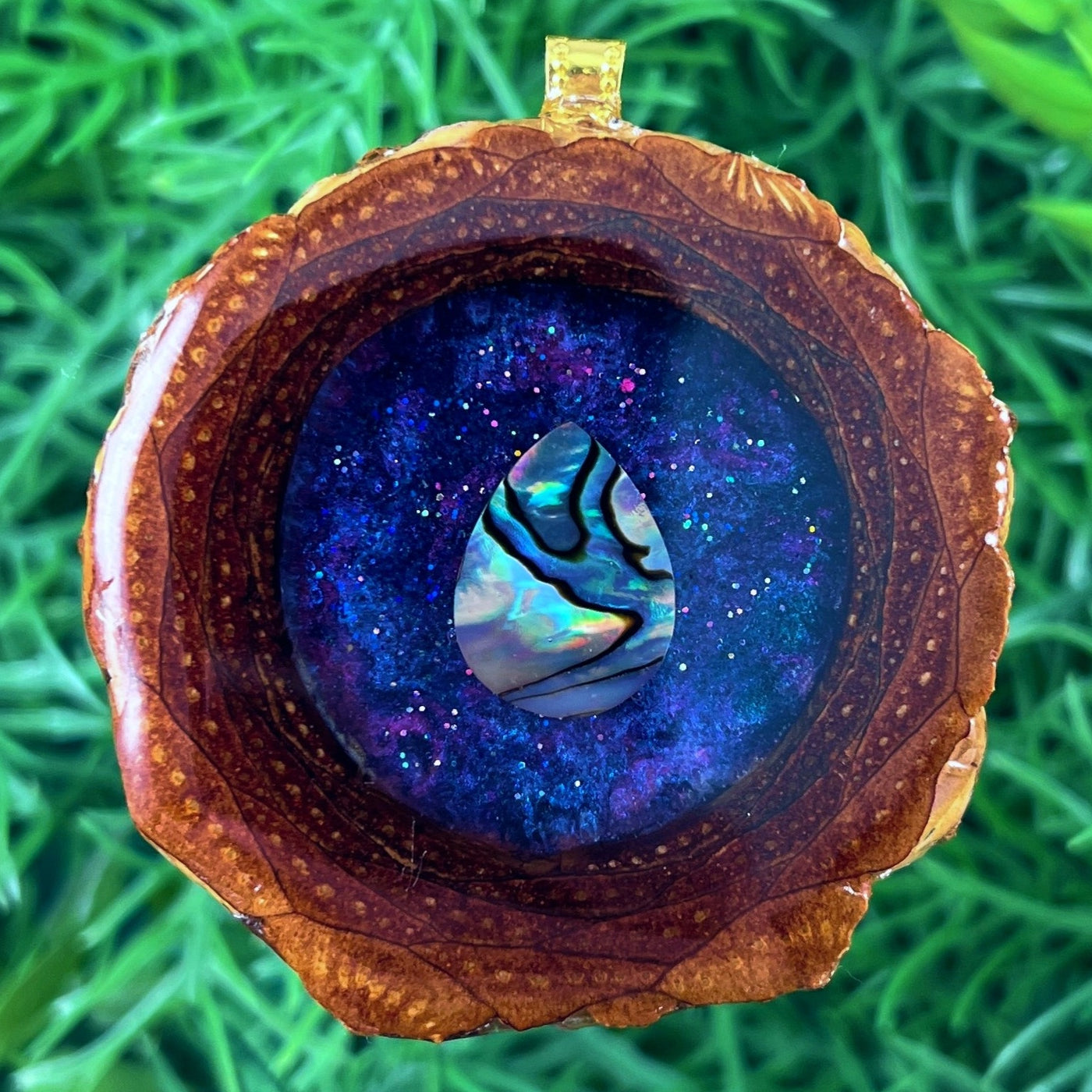 Galaxy with Abalone