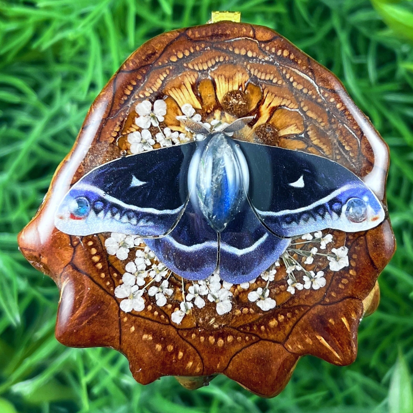 Labradorite with Butterfly