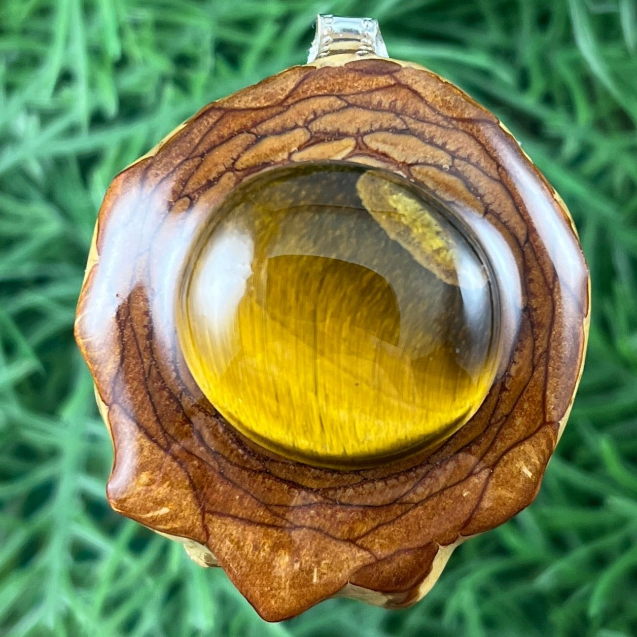 Tiger's Eye