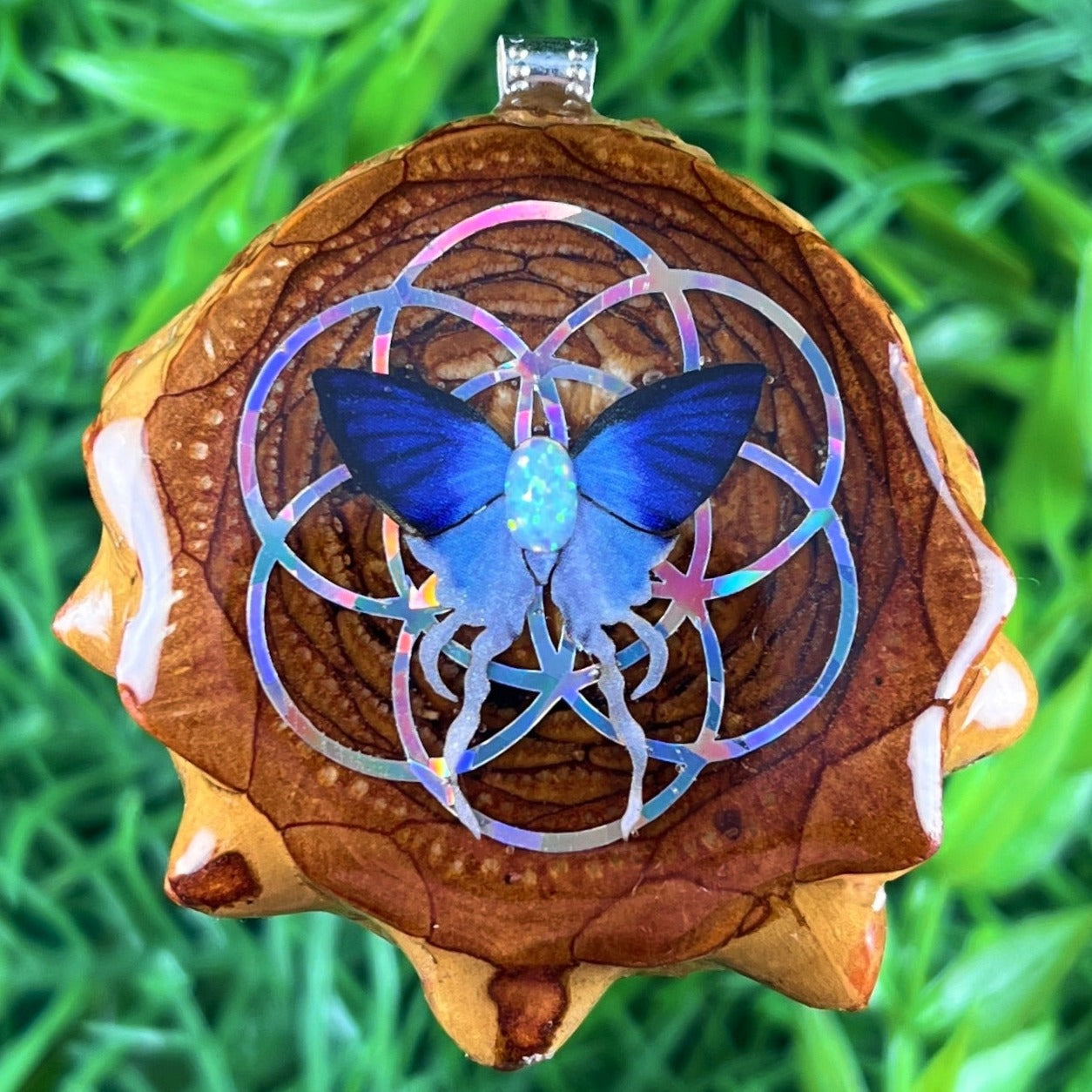 Butterfly with Seed of Life