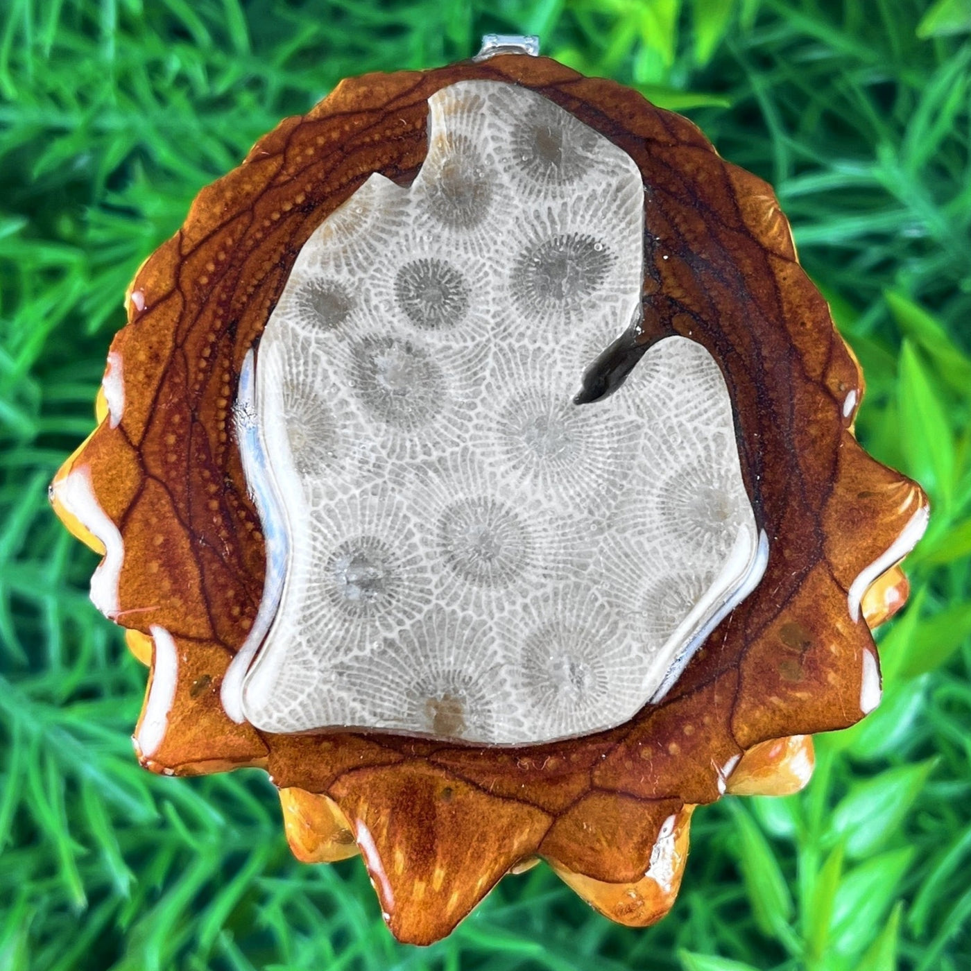 Michigan Petoskey Stone
