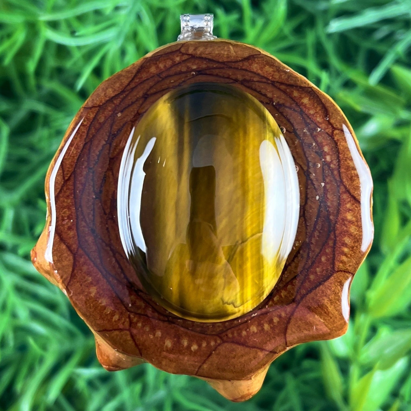 Tiger's Eye