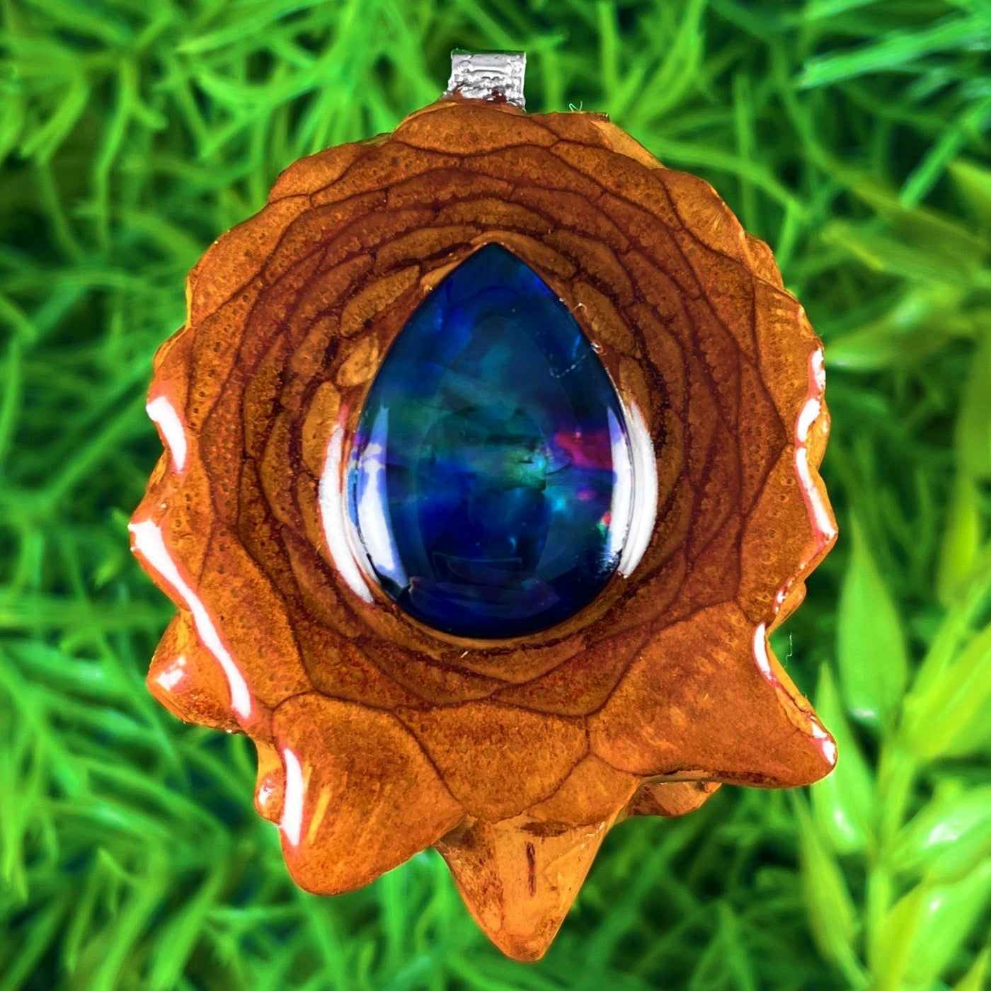 Multi Ammolite